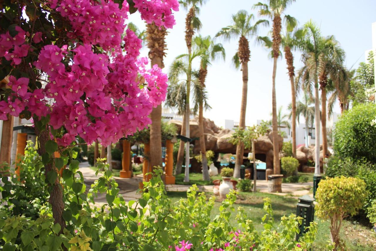 Herrmes Hospitality Sharm El Sheikk Exterior foto